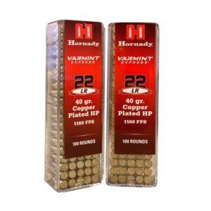 BALAS HORNADY CAL 22 LR HP 40 GR 100u.